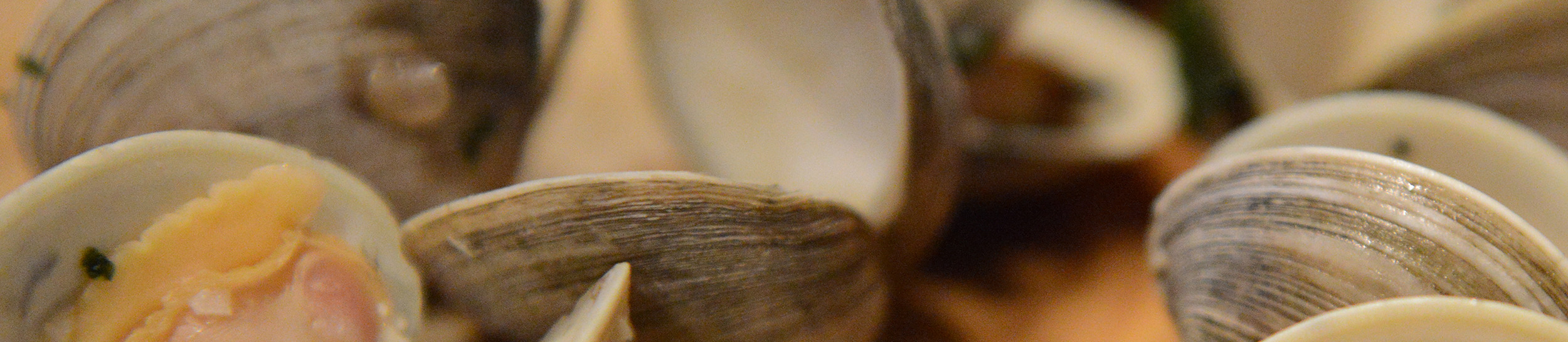 Vitamin B12 Importance after Bariatric Surgery Laparoscopic.MD